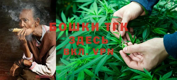 mdpv Белокуриха