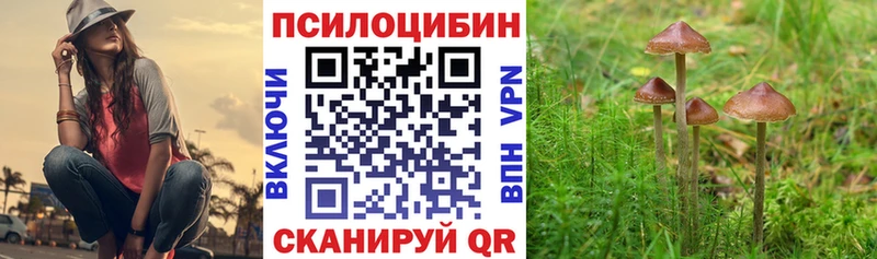Псилоцибиновые грибы мицелий  kraken ТОР  Горячий Ключ 