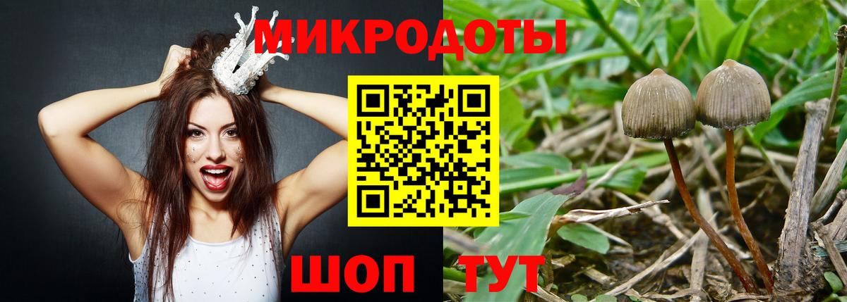 Псилоцибиновые грибы мицелий  Галлюциногенные грибы GOLDEN TEACHER  Горячий Ключ  Вход с VPN 